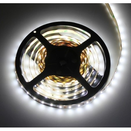 Design Light – LED TAŚMA "2835" 30W BEZ ŻELU ZIMNY