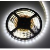 Design Light – LED TAŚMA "2835" 30W BEZ ŻELU ZIMNY